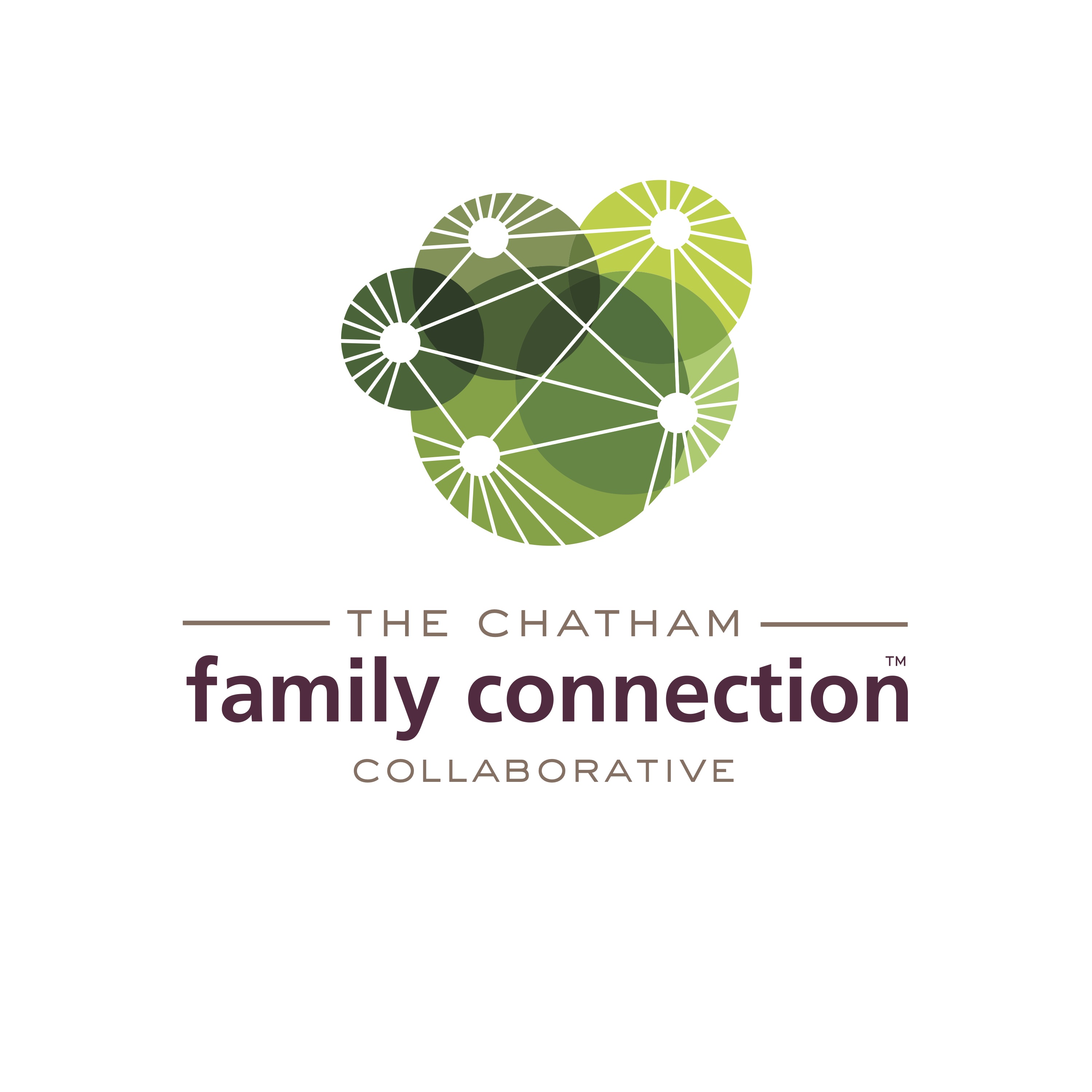 Georgia Family Connection Partnership